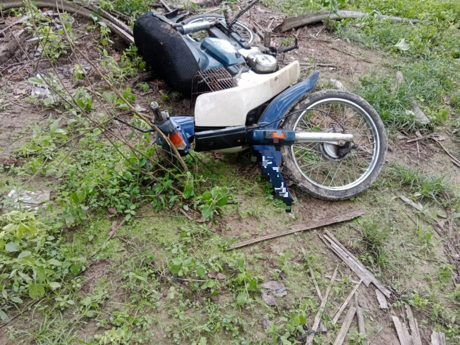 东01:警方在明光路边油棕园找到遗骨疑似上月失踪华男