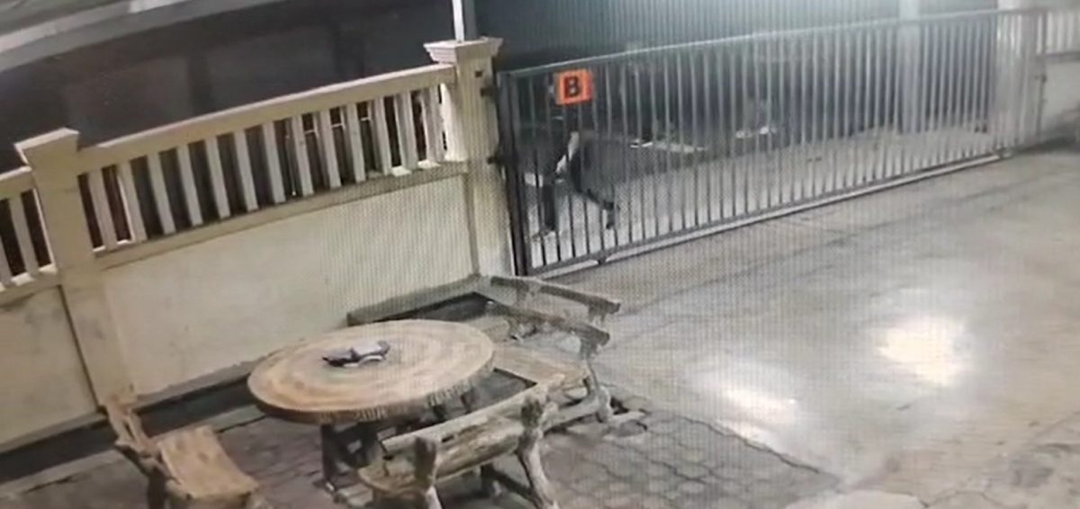 东:数名青年夜闯培才华小烧书,所幸未酿大祸。