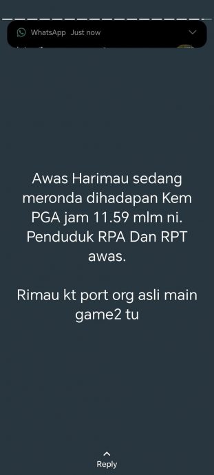 乌鲁近打PGA营附近 疑似现“虎踪”