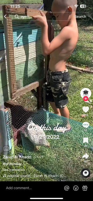 从KL搬回乡下“自耕农” “多时间陪孩子 省车油过路费”