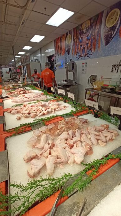 全:傅芝雅沙烈指5企业操纵家禽饲料市场的行为是对国家最大的背叛