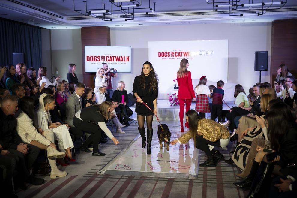 匈牙利布达佩斯举办狗狗时装秀,给流浪狗一个家