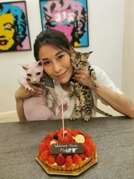 医生老公屡传婚内出轨 黎淑贤抑郁症纠缠20年