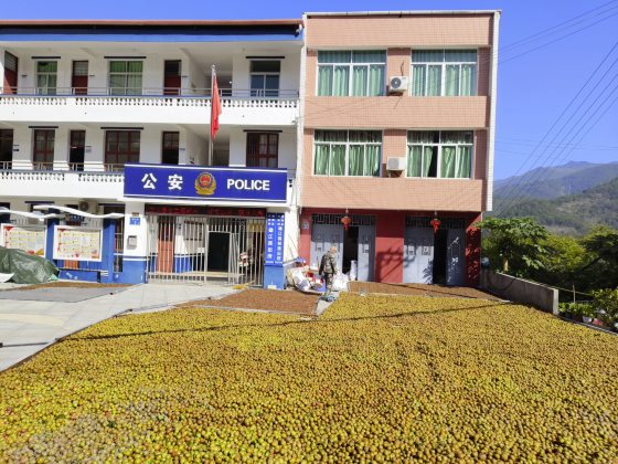 卓衍豪／从节气到风土教育