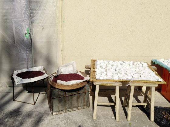 卓衍豪／从节气到风土教育