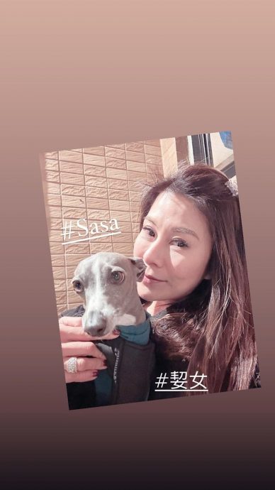 卢惠光前妻黎淑贤烧炭身亡 2周前才通电话