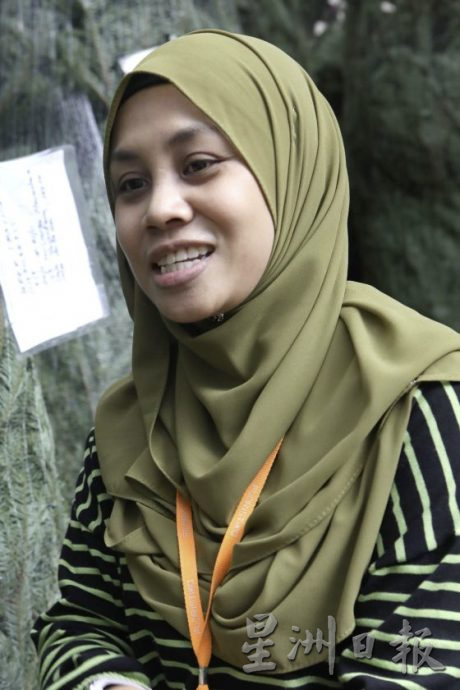 四季如夏的马来西亚也有真圣诞树？