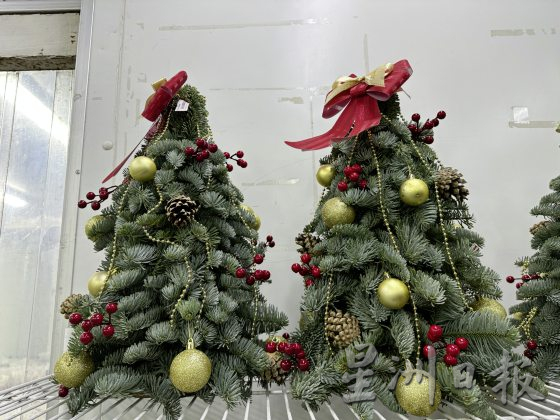 四季如夏的马来西亚也有真圣诞树？