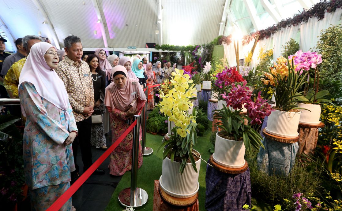 大都会/2023年布城胡姬展