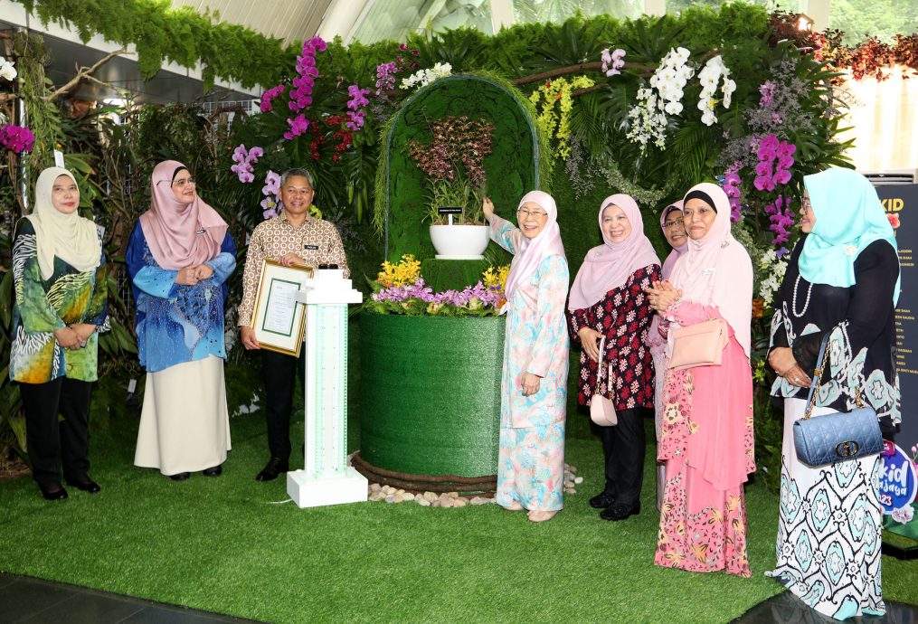 大都会/2023年布城胡姬展