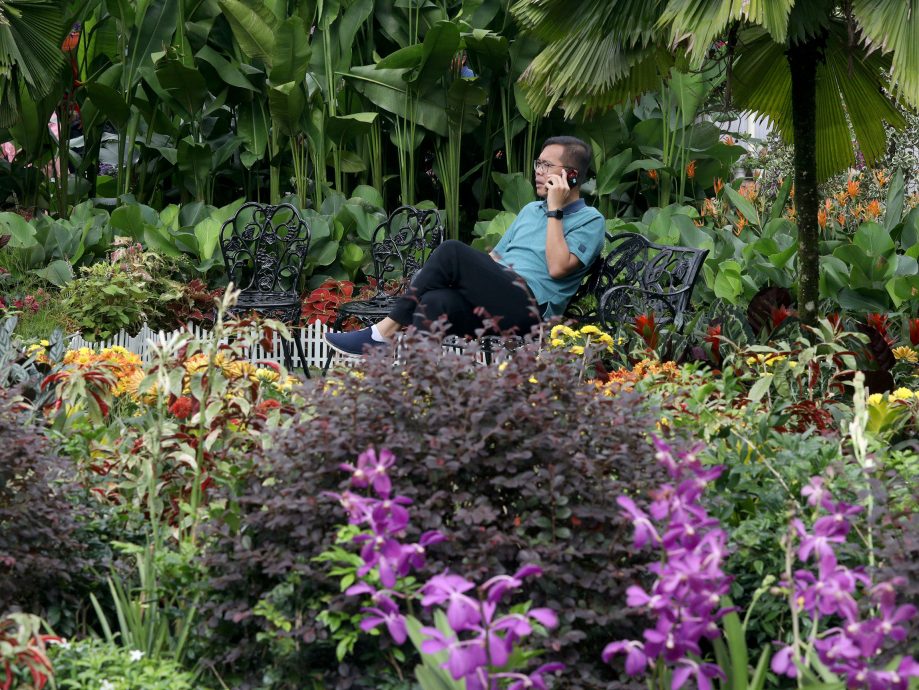 大都会/2023年布城胡姬展