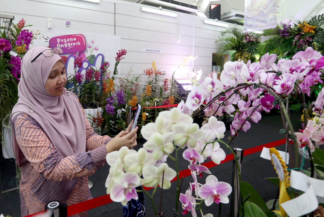 大都会/2023年布城胡姬展