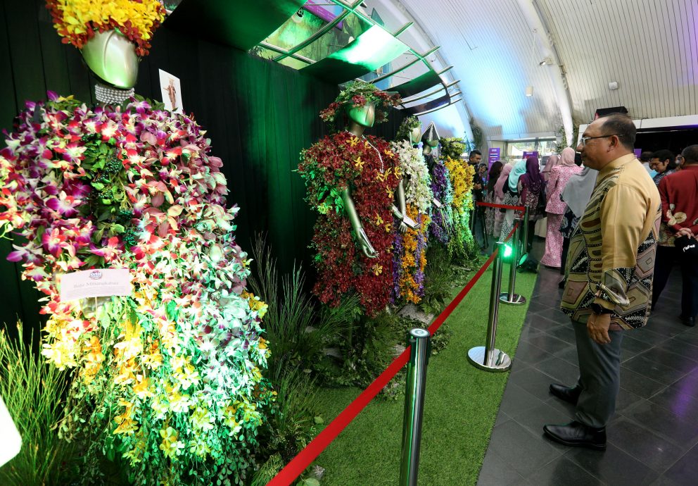 大都会/2023年布城胡姬展