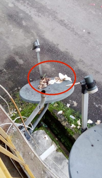 大都会封面文:大叔高空抛屎，邻居无处可避/8图