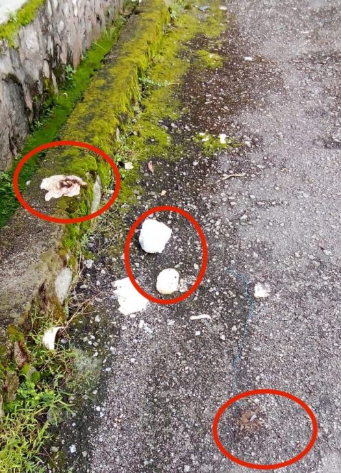 大都会封面文:大叔高空抛屎，邻居无处可避/8图