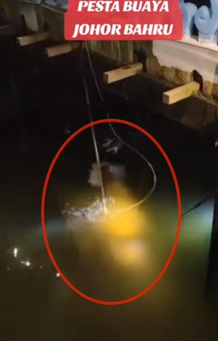 **已签发**柔：鳄鱼出没海民村落，村民漏夜联手擒拿