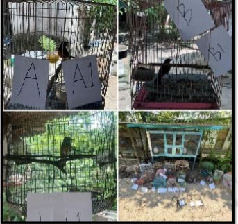 已签发//警方打击走私活动 起获逾9亿假药、逃税物品 逮捕5万人