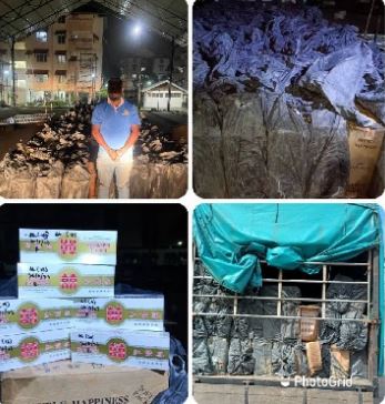 已签发//警方打击走私活动 起获逾9亿假药、逃税物品 逮捕5万人