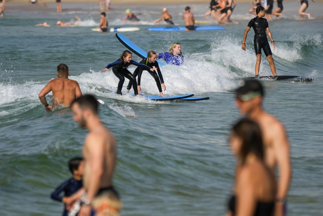 悉尼气温3年来最高达40摄氏度