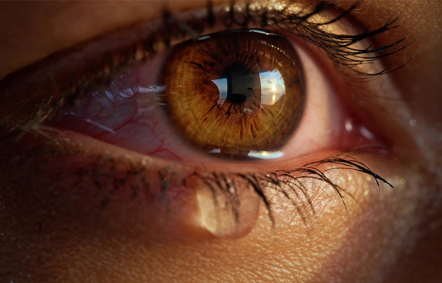 拚盘)可发出化学信号 眼泪能显著降低男性攻击性