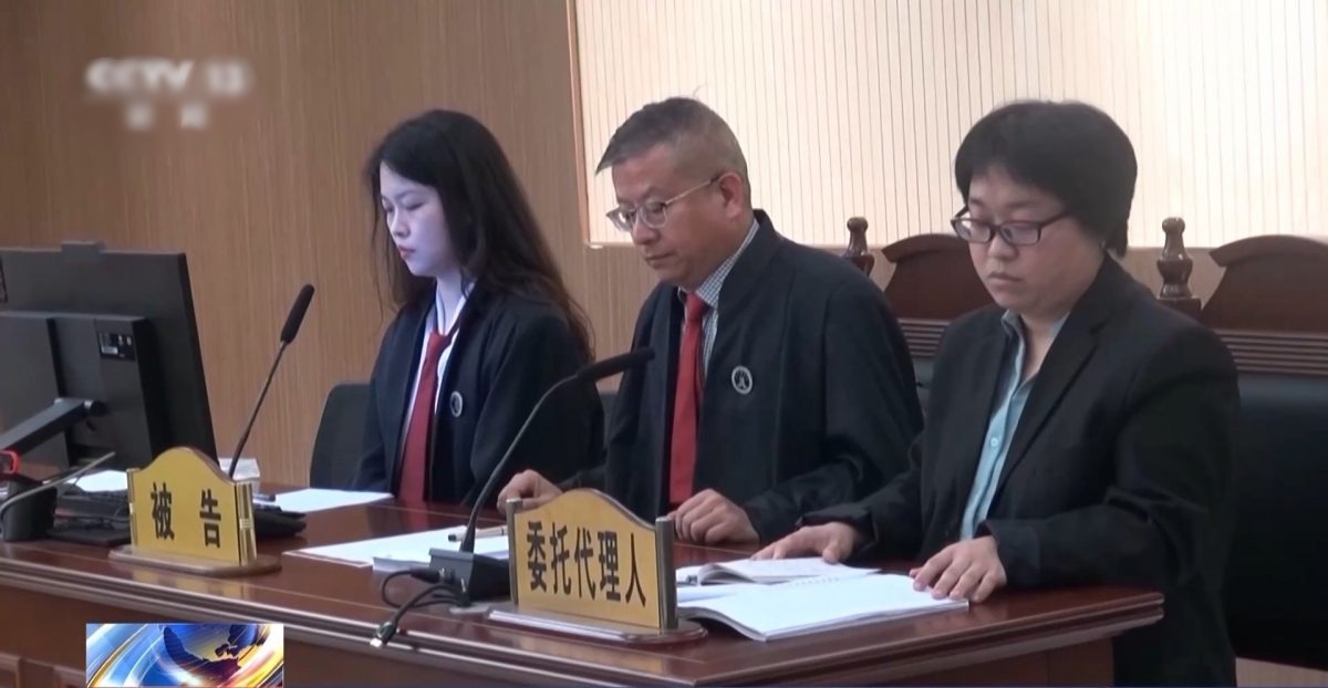 拚盘)胚胎是“人”抑或“物”？中首宗“准胎儿”获赔抚养费案判决