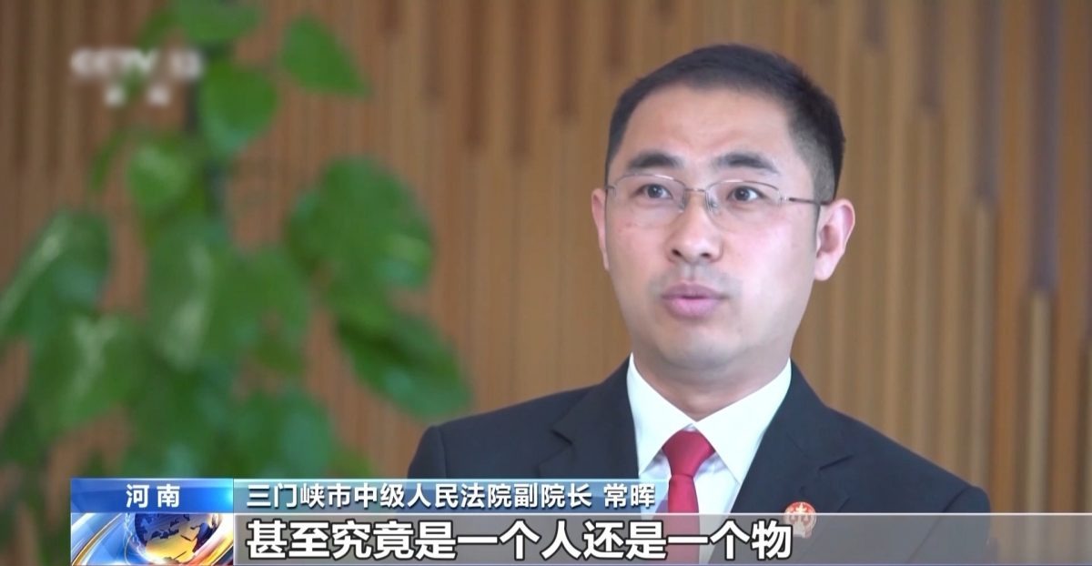 拚盘)胚胎是“人”抑或“物”？中首宗“准胎儿”获赔抚养费案判决