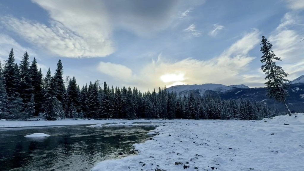新疆喀纳斯景区“网红狐狸”躺雪地亡　当地人质疑游客过度喂食致肾衰竭