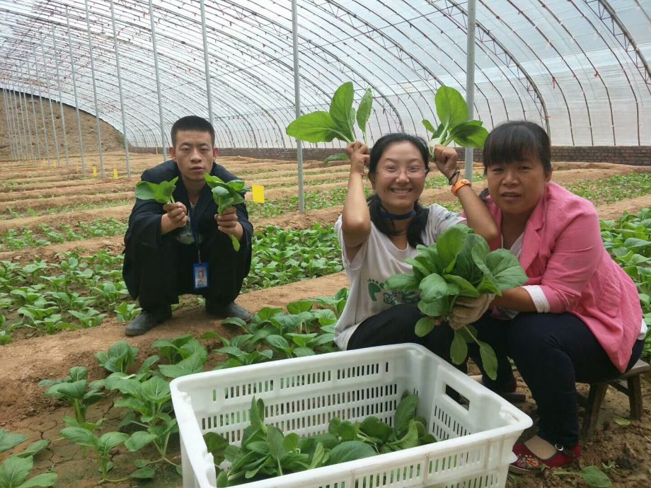 暖势力/手心翻转计划