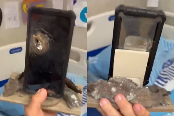 替以色列士兵挡下子弹! 苹果“防弹神机”竟是iPhone X