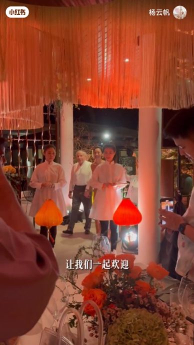 杨紫琼大马欢度圣诞节 甜把老公“挂”圣诞树上
