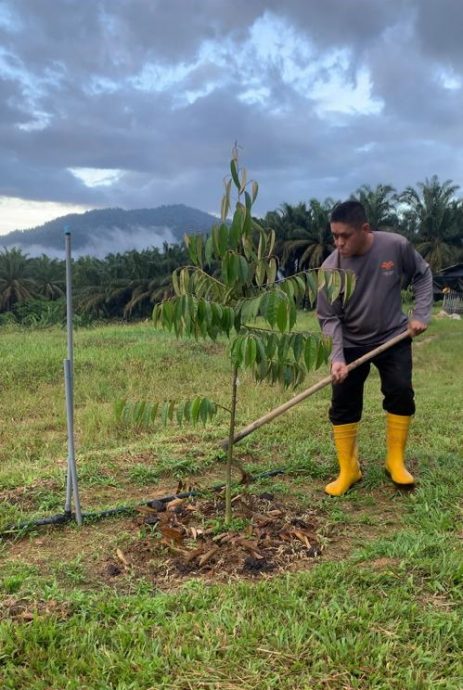 柔:今日面谱(12月28日见报):无线电爱好者方世维以无人机喷洒农药