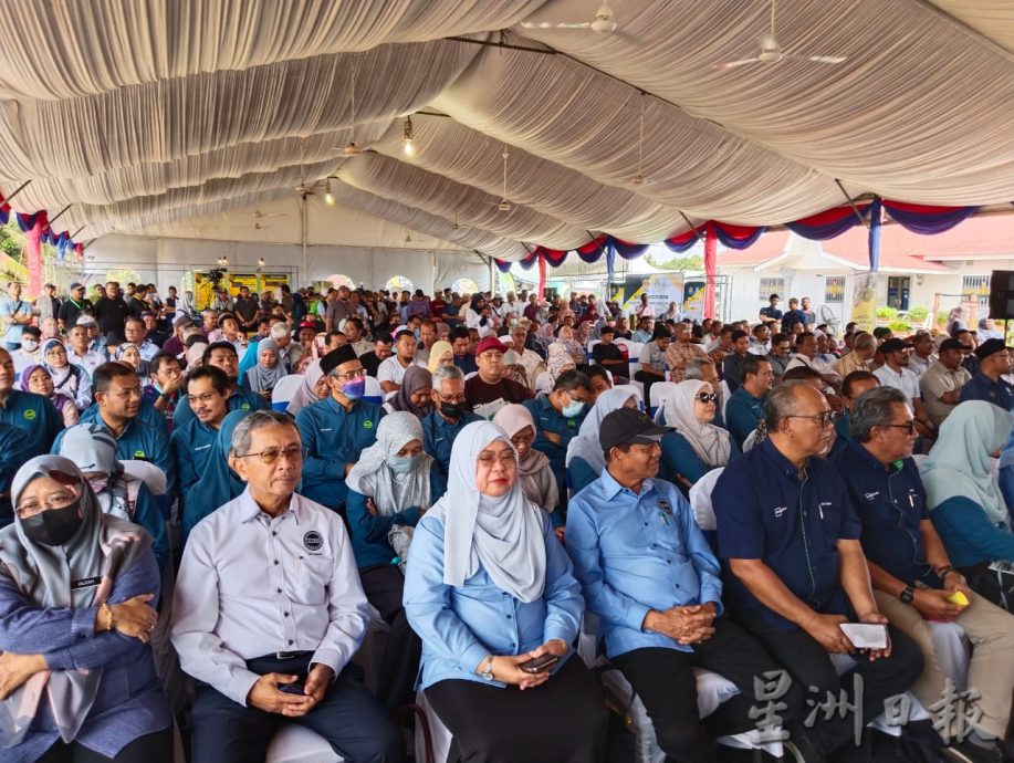 柔:MARDI经10年研发新品种 “MS16”黄梨 香甜不割舌