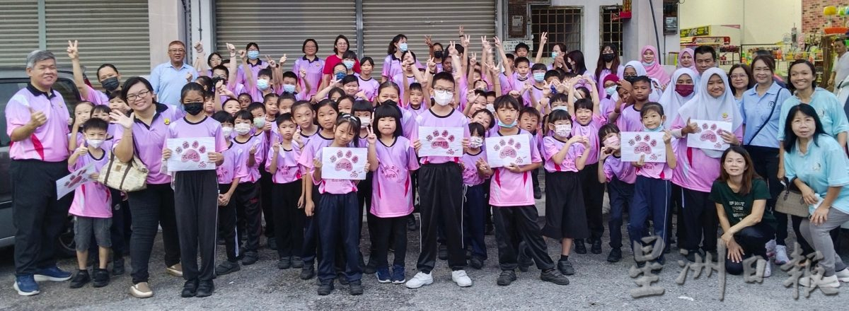 猫猫走走去巴刹 培养学生采购烹饪