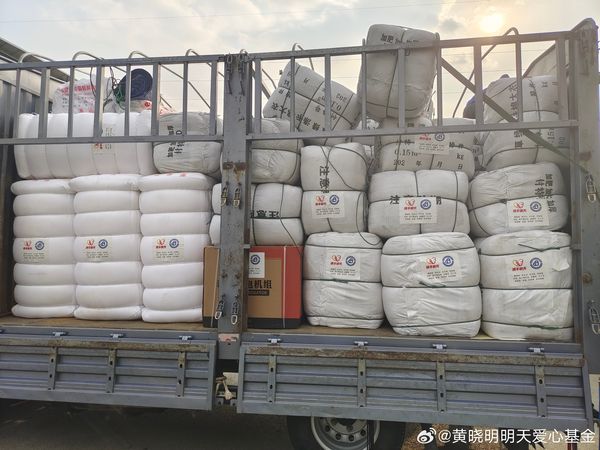 甘肃6.2强震后“气温降到零下10度”! 林志玲火速连捐3批物资