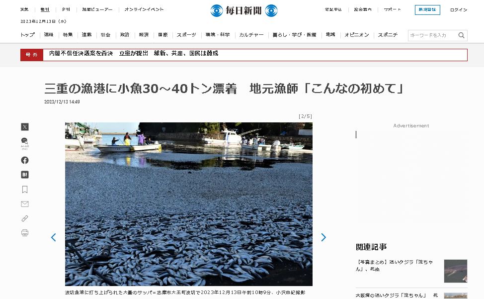 看世界  日本又有大量鱼尸冲上岸！不只北海道　这回是三重县渔港