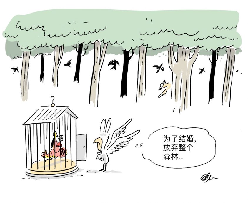 花城心事︱女友逼婚，我不想为了一棵树放弃整个森林，咋办？
