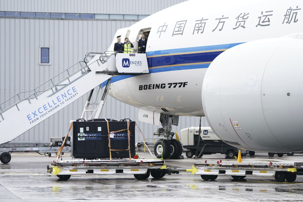 英媒：英国唯一一对熊猫“阳光”和“甜甜”启程回国