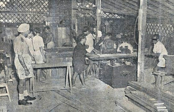 蔡羽／三角坡的高墙之内