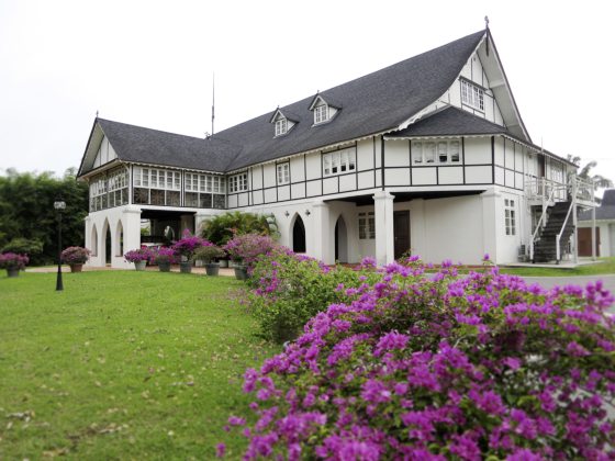 蔡羽／葱葱郁郁大学岭