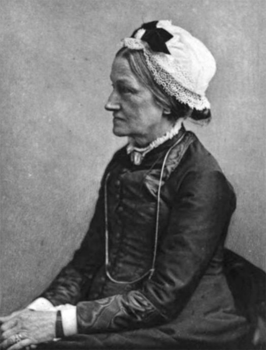 蔡羽／葱葱郁郁大学岭