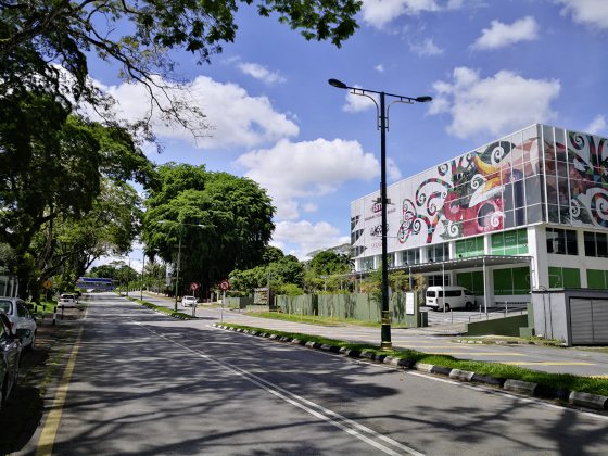 蔡羽／葱葱郁郁大学岭