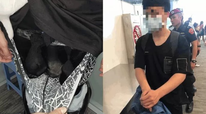 裤裆“凸起”穿帮 泰海关捕1台男起获2水獭1土拨鼠