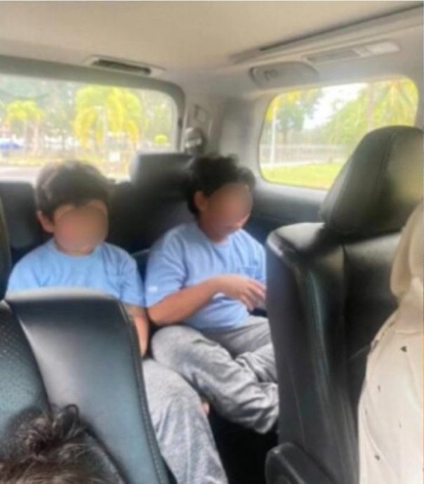 视频|一家在度假村被蜜蜂蛰伤 女子：是野鸟惹的祸！