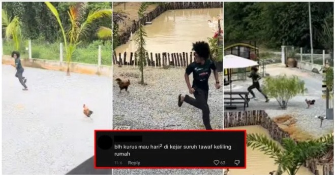 视频|男子在民宿被公鸡追赶 网调侃:天天被追一定瘦!