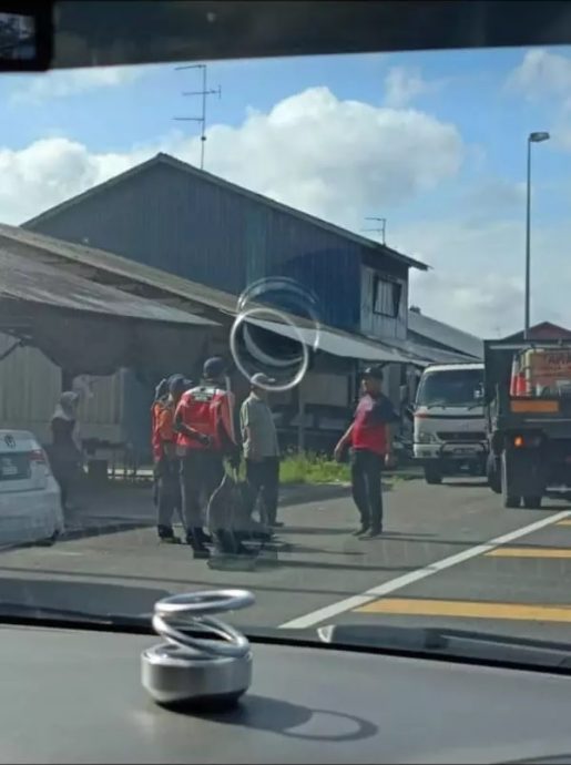 视频|骑脚车遭流浪狗追赶  男童横穿马路逃险象环生