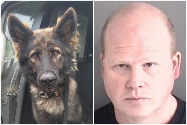 警官将警犬忘在车内22小时 记起时已活活闷死