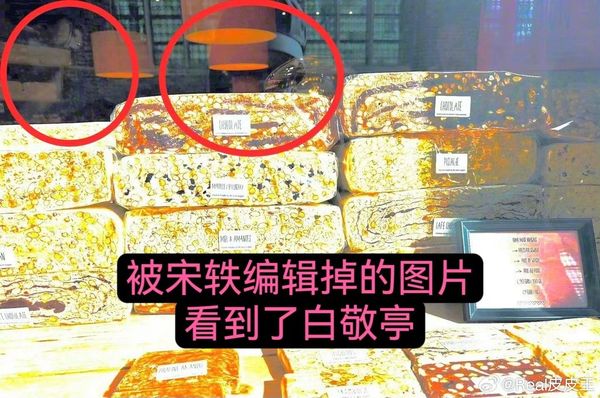 误晒同框白敬亭被抓包 宋轶火速删照