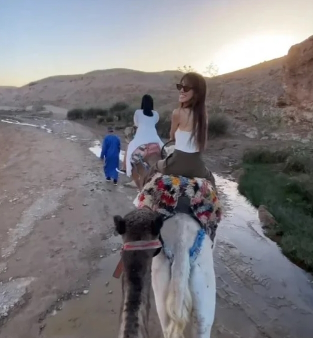 闻马国明即“落闸” 郑嘉颖被批没风度