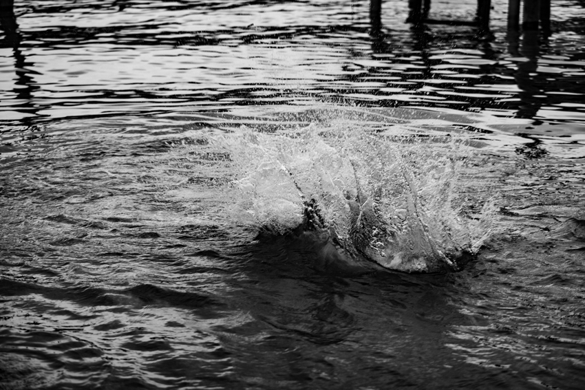 陈子韩／敲碎一个下午的时光