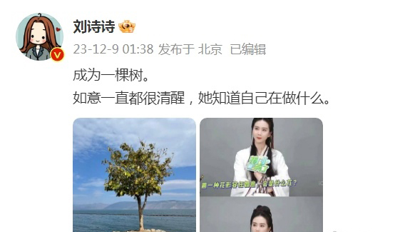频传与吴奇隆婚变 刘诗诗：一直都很清醒